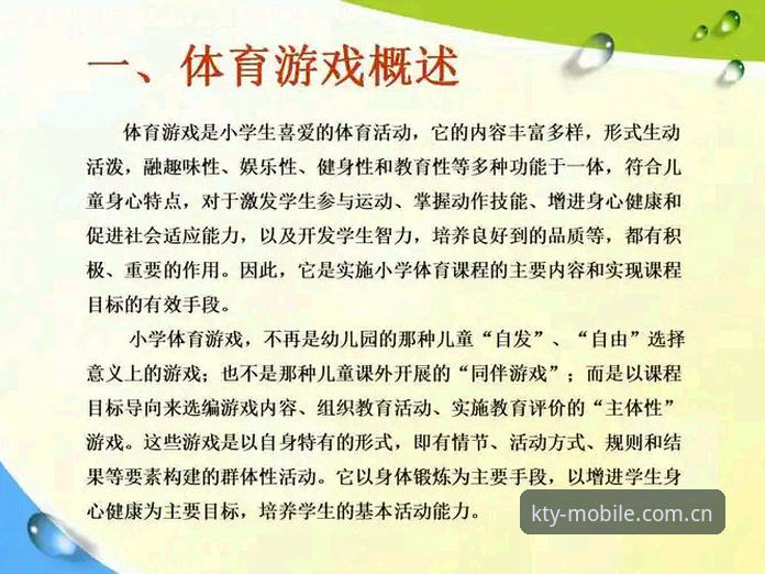 K体育苹果版功能详解与使用指南